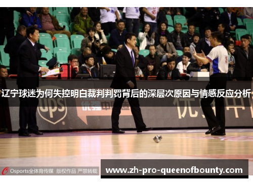辽宁球迷为何失控明白裁判判罚背后的深层次原因与情感反应分析 辽宁球迷为何失控明白裁判判罚背后的深层次原因与情感反应分析